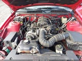 Ford Mustang V6 Deluxe/V6 Premium 1ZVHT80N775363636 fotografie