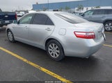 Toyota Camry Xle V6 JTNBK46K983034950 photo