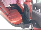 Miniaturka zdjęcia 8