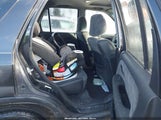 Miniaturka zdjęcia 8