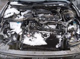 Honda Civic Ex 1HGEM22915L031962 снимка