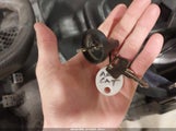 Miniaturka zdjęcia 11