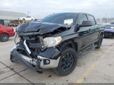 Toyota Tundra Sr5 4.6L V8 5TFEM5F13HX111586 fotografie