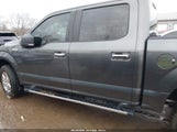 Ford F-150 Xlt 1FTEW1E42KFD12360 снимка