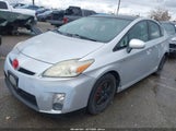 Miniaturka zdjęcia 2