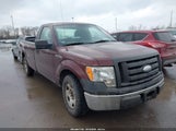 Ford F-150 Stx/Xl/Xlt 1FTRF12W99KC07517 fotografie