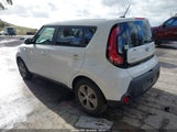 Miniaturka zdjęcia 3