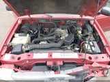 Miniaturka zdjęcia 10