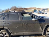 Toyota Rav4 Xle 2T3W1RFV7PC224663 снимка