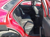 Miniaturka zdjęcia 8