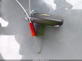 Miniaturka zdjęcia 11