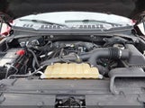 Ford F-150 Xlt 1FTEW1EP3LKD55494 снимка