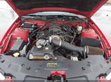 Miniaturka zdjęcia 10