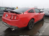 Miniaturka zdjęcia 6