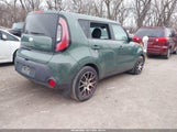 Miniaturka zdjęcia 4