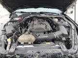 Ford Mustang Ecoboost Premium 1FATP8UH3H5292996 fotografie
