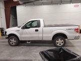Ford F-150 Xl/Xlt 1FTMF1EV3AFB99182 снимка