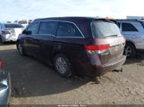 Honda Odyssey Lx 5FNRL5H23EB035660 снимка
