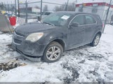 Chevrolet Equinox Ls 2GNALAEK3F6216217 снимка