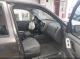 Ford Escape Xlt/Xlt Sport 1FMYU93176KC24469 fotografie