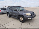 Miniaturka zdjęcia 1