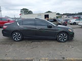 Honda Accord Ex-L V-6 1HGCR3F09GA023097 fotografie