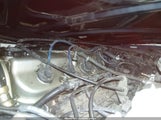Honda Accord Lx 1HGCD5534VA093092 снимка
