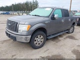 Ford F-150 Xlt 1FTFW1EF1CFB29801 снимка