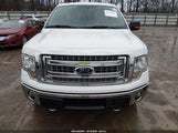 Ford F-150 Xlt 1FTFW1ET0EKF44902 снимка