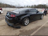 Ford Mustang V6/V6 Premium 1ZVBP8AN3A5176958 fotografie