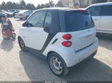Miniaturka zdjęcia 3