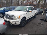 Ford F-150 Fx4/Harley-Davidson/King Ranch/Lariat/Platinum/Xl/Xlt 1FTFW1EV3AFC54738 photo
