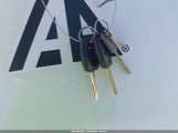 Miniaturka zdjęcia 11