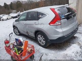 Miniaturka zdjęcia 3