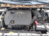Miniaturka zdjęcia 10