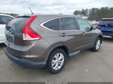 Honda Cr-V Ex 2HKRM3H54EH550891 снимка