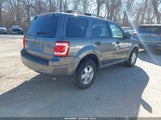 Ford Escape Xlt 1FMCU03G89KB64197 снимка