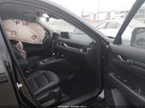 Miniaturka zdjęcia 5