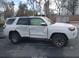 Toyota 4Runner Trd Off Road Premium JTERU5JR7P6201869 photo