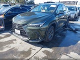 Lexus Nx 250 2T2ADCAZ4SC026046 fotografie