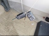 Miniaturka zdjęcia 11