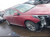 Hyundai Sonata Limited 5NPE34AF6FH037931 снимка