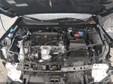Honda Civic Lx 19XFL2H50RE020637 снимка