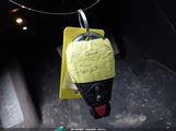 Miniaturka zdjęcia 11