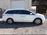 Honda Odyssey Ex-L 5FNRL5H6XEB003145 снимка