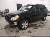 Toyota Rav4 JTMBF4DV3AD023836 снимка