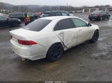 Acura Tsx JH4CL96857C012772 снимка