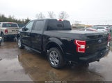 Ford F-150 Xlt 1FTEW1EP8KFD02281 снимка