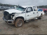 Ford F-250 Xl 1FT7W2BT0FEB51304 снимка