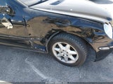 Miniaturka zdjęcia 6